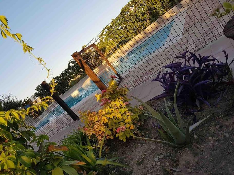 Casa Rural Alma Totanés Exteriér fotografie